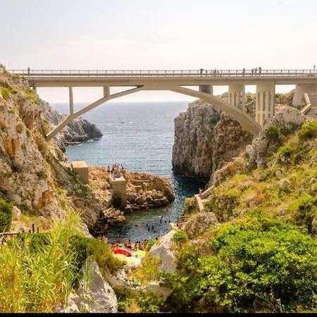 Casa Vacanze "Il Carrubo" Gagliano del Capo Buitenkant foto